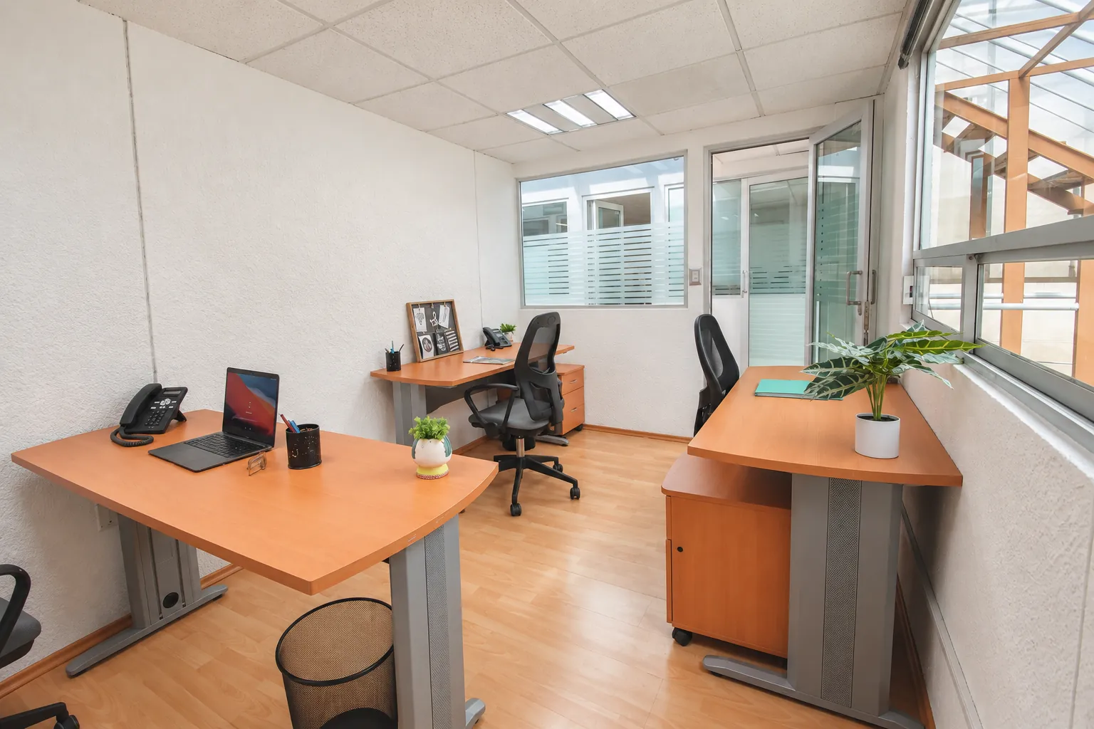 Oficina con escritorios de madera, plantas y ventanas, OfiRent Nápoles, Ciudad de México