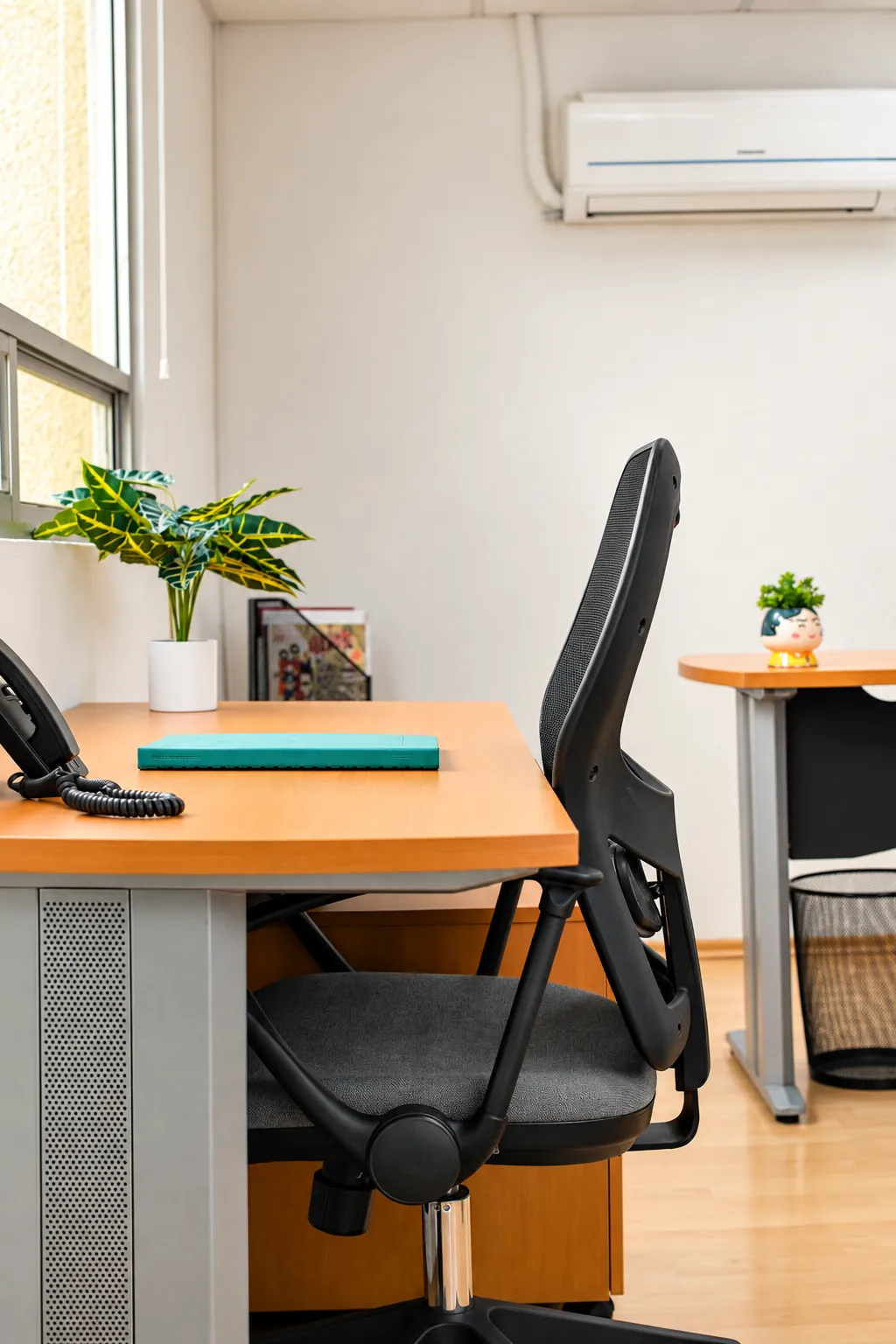 Escritorio con silla ergonómica y plantas junto a la ventana, OfiRent Nápoles, Ciudad de México