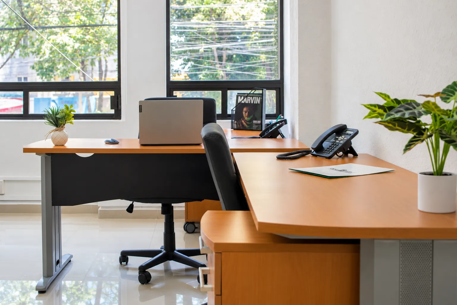 Escritorio con laptop, silla ergonómica y plantas junto a ventanas, OfiRent Narvarte, Ciudad de México