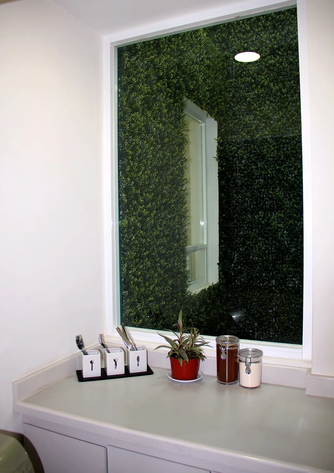 Barra con ventana hacia un muro verde, OfiRent Roma, Ciudad de México